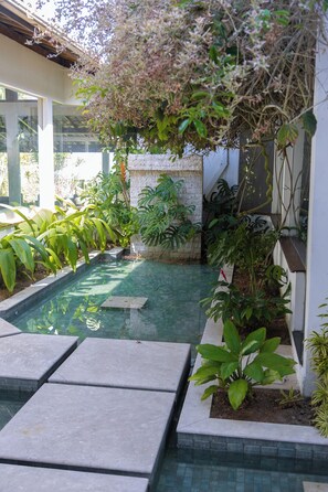 Una piscina amb un marc de pedra, envoltada de plantes diverses i una paret de pedra.
