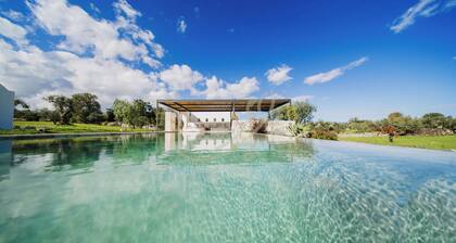 TD Trullo Yume Whispering Olive Grove