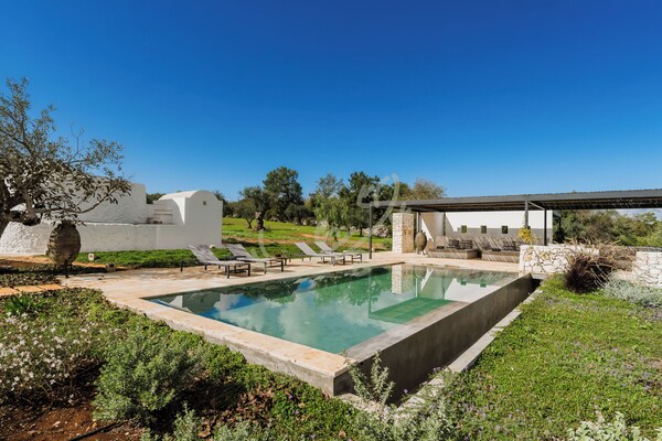 Td Trullo Yume Whispering Olive Grove - Puglia