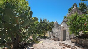 Une cour avec un cactus, des marches en pierre et un petit bâtiment doté d’un toit conique.