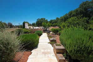 Interior - TD Casale Belladinotte Poolside Country Bliss (Ceglie Messapica)