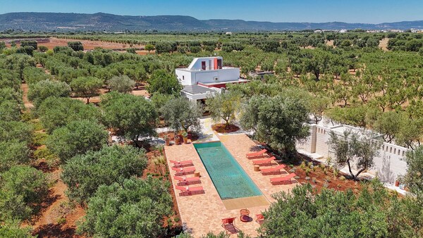 Td Lamia Porta Rossa, Countryside W/olive Trees - Puglia