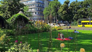 Um edifício moderno com fachada curva, rodeado por um parque bem cuidado com diversas plantas e flores.