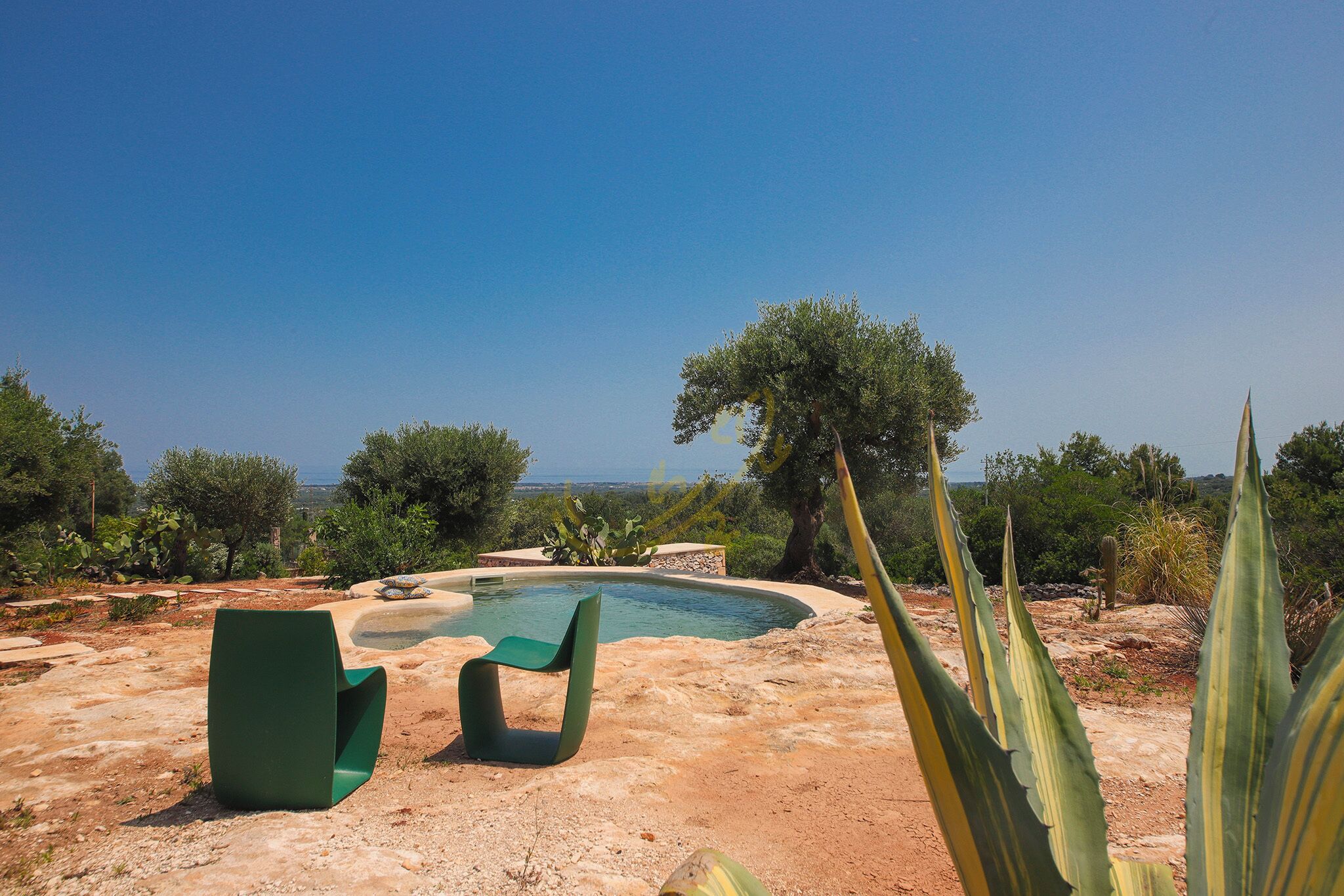 A pool area with a clear view of the sea, surrounded by greenery and a large tree.