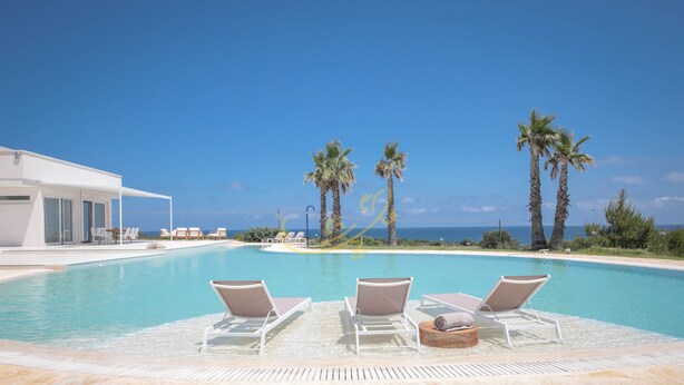 Un espace piscine agrémenté de chaises longues et de palmiers, offrant une vue imprenable sur un ciel bleu azur et l’océan.