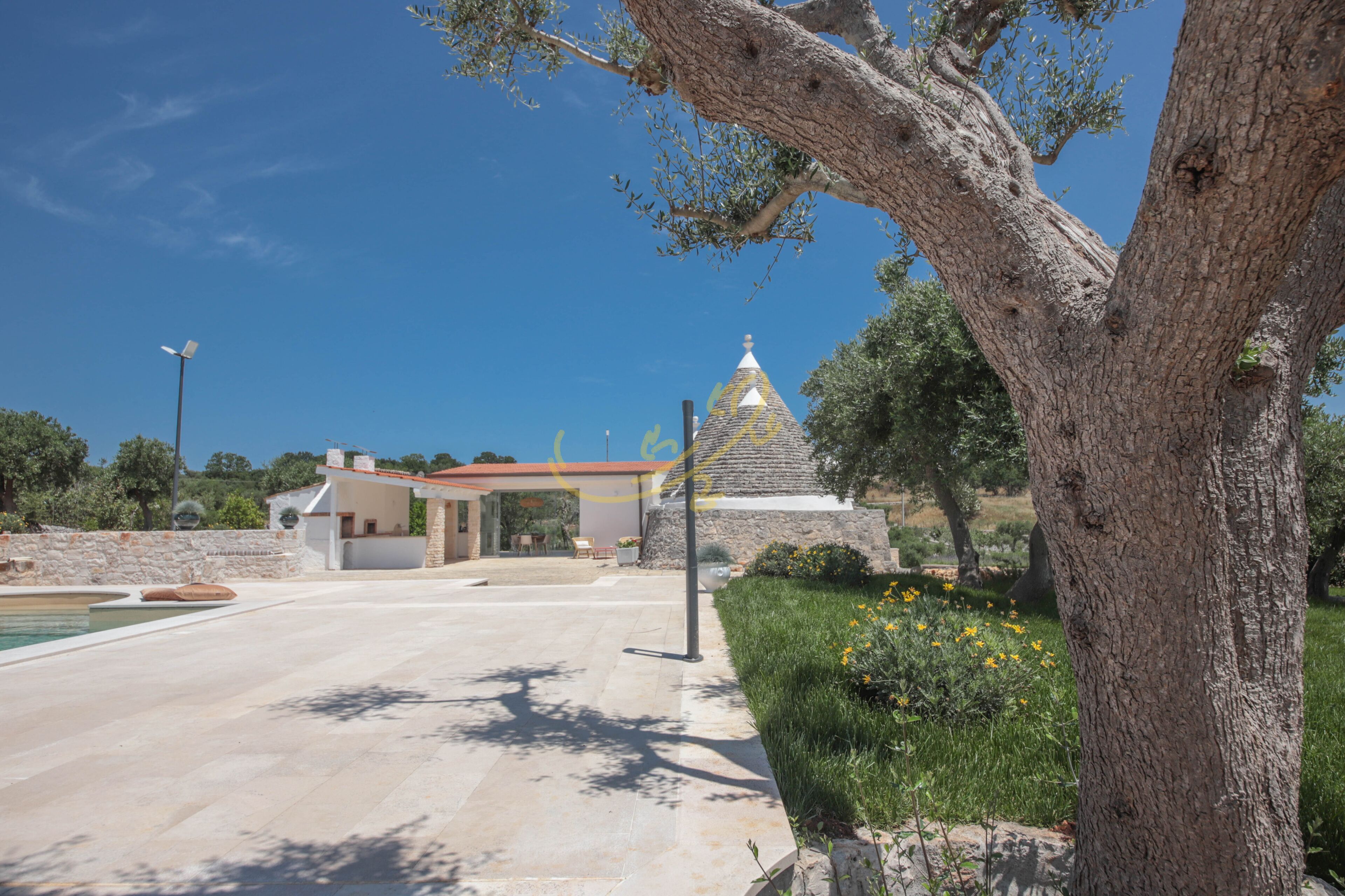 Eine moderne Villa mit Swimmingpool, einer Steinmauer und einem großen Baum im Vordergrund.