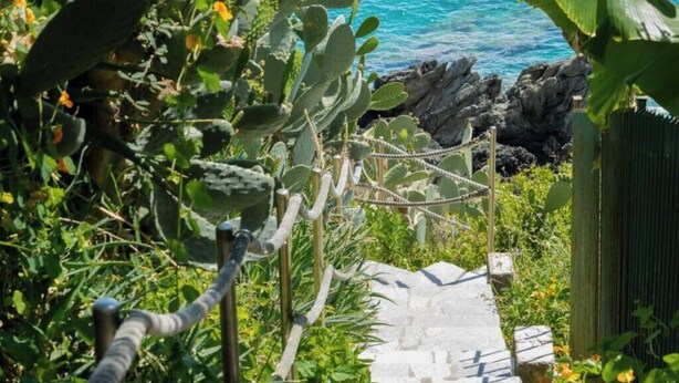 A garden with cacti and a view of the ocean.