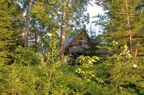 A rustic cabin surrounded by dense forest.