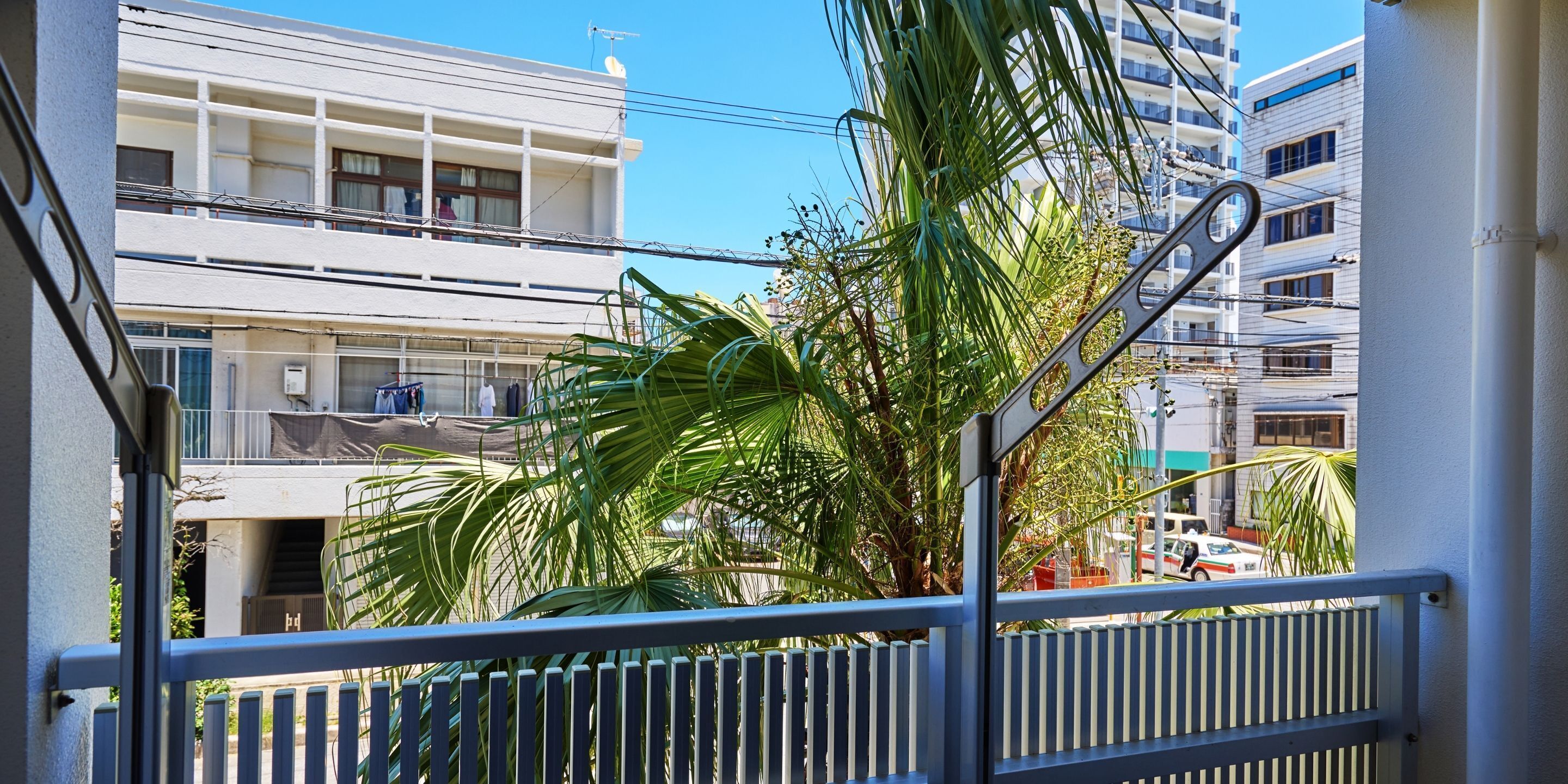 Un balcón con barandilla metálica, una palmera y vistas de un edificio de varios pisos con balcones y ventanas.