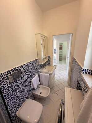 A bathroom with a toilet, sink, and mirror. There is a towel rack and a shower area. - Masticiello House (Nerano)