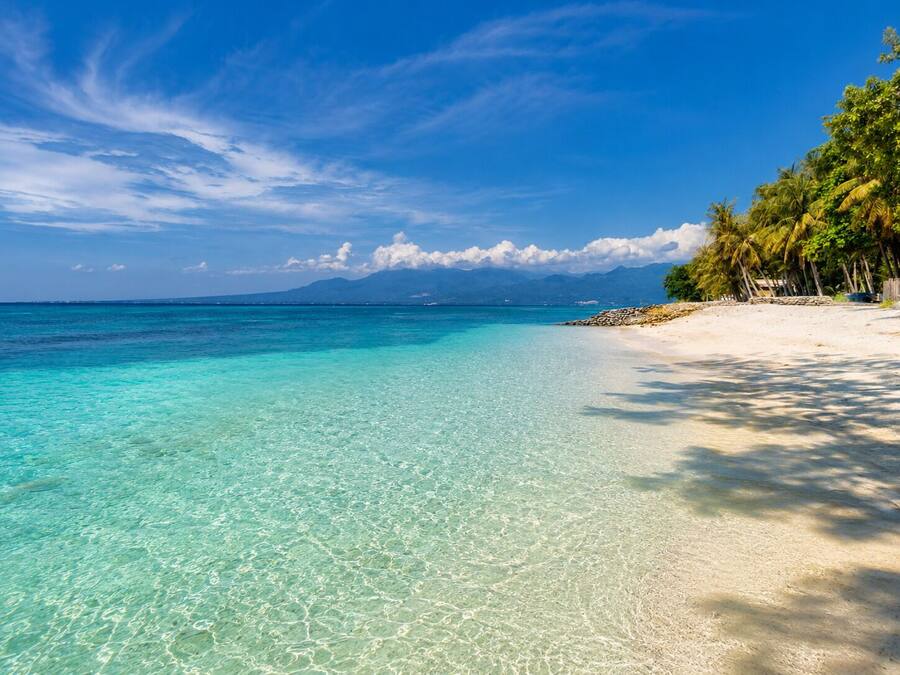 A beach with clear turquoise water, white sand, and palm trees.