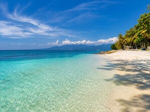 Une plage à l’eau turquoise et limpide, au sable blanc, bordée de palmiers.