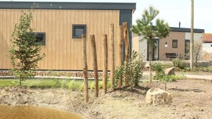 A modern building with a wooden facade, a small window, and a bench outside. - In the Duinrand Lodge for 4 persons, you can truly relax. This comfortable and tastefully furnished holiday home guarantees pure holiday enjoyment. (De Haan)