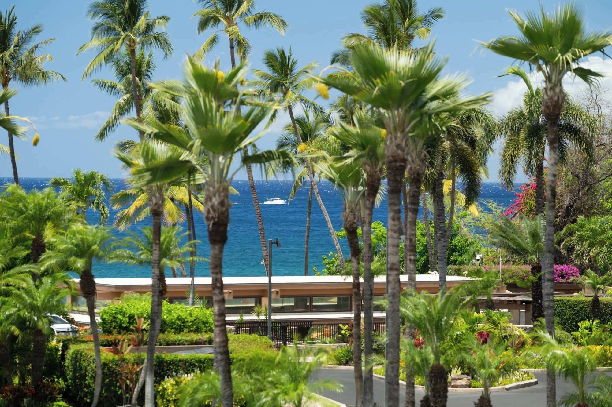 Un resort con palmeras, vista al océano y un edificio de techo plano.