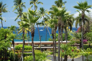 Property grounds - Wailea Elua 705 – Oceanfront Beach Retreat (Wailea-Makena)