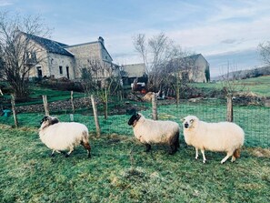 Property grounds - Superb Renovated Longère with Large Park: Morvan! A Beautiful Natural Retreat, Historic Stone Walls (Saint-Martin-du-Puy)