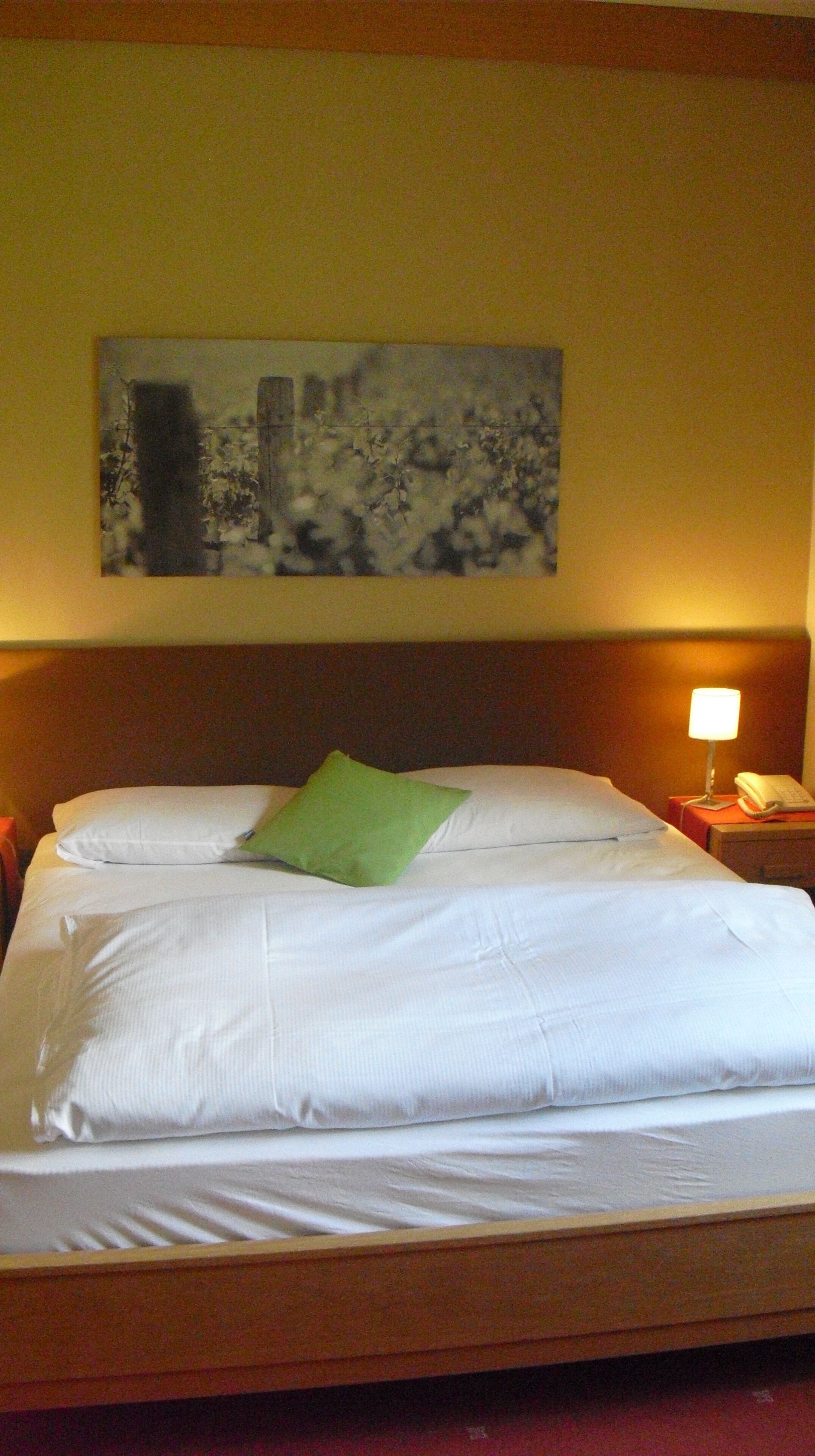 Habitación individual, vista al jardín | Insonorización, wifi gratis y ropa de cama 