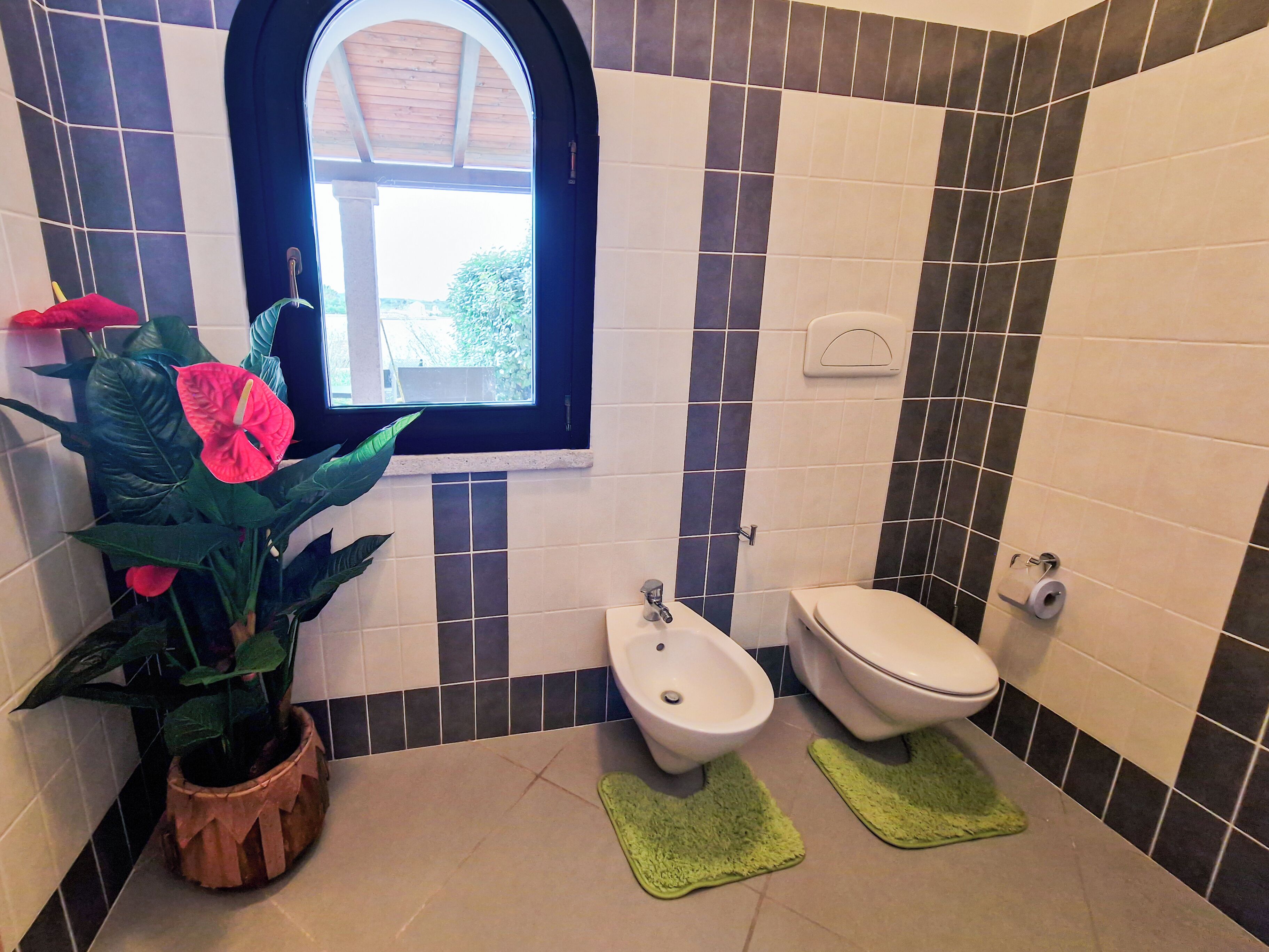A bathroom with a bidet, toilet, potted plant, and a window.