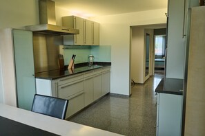 Fridge, microwave, oven, stovetop - Apartment 'Cozy' with Mountain View, Private Terrace and Wi-Fi (Dornbirn)