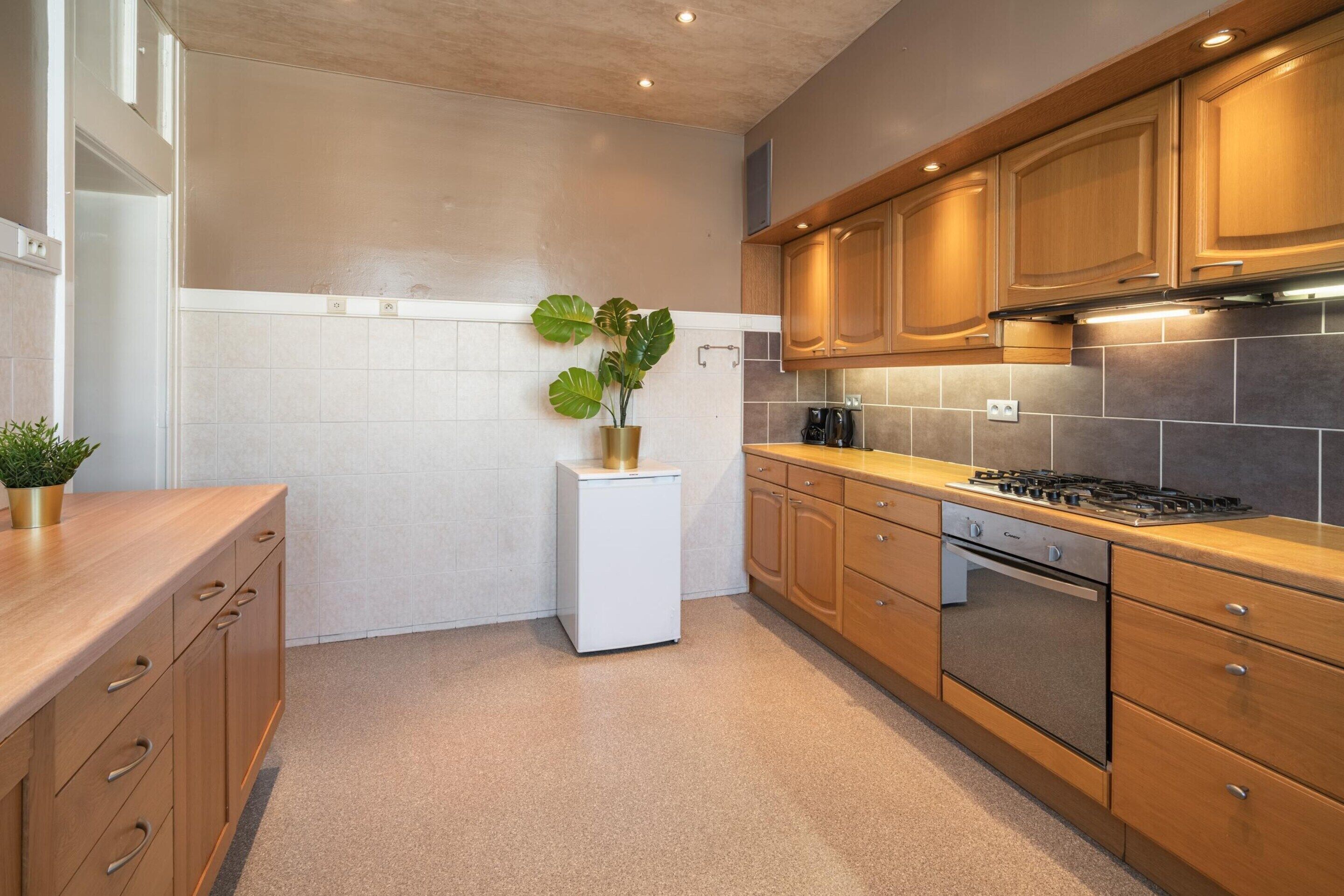 A modern kitchen with wooden cabinets, a white refrigerator, a stove, and a potted plant.