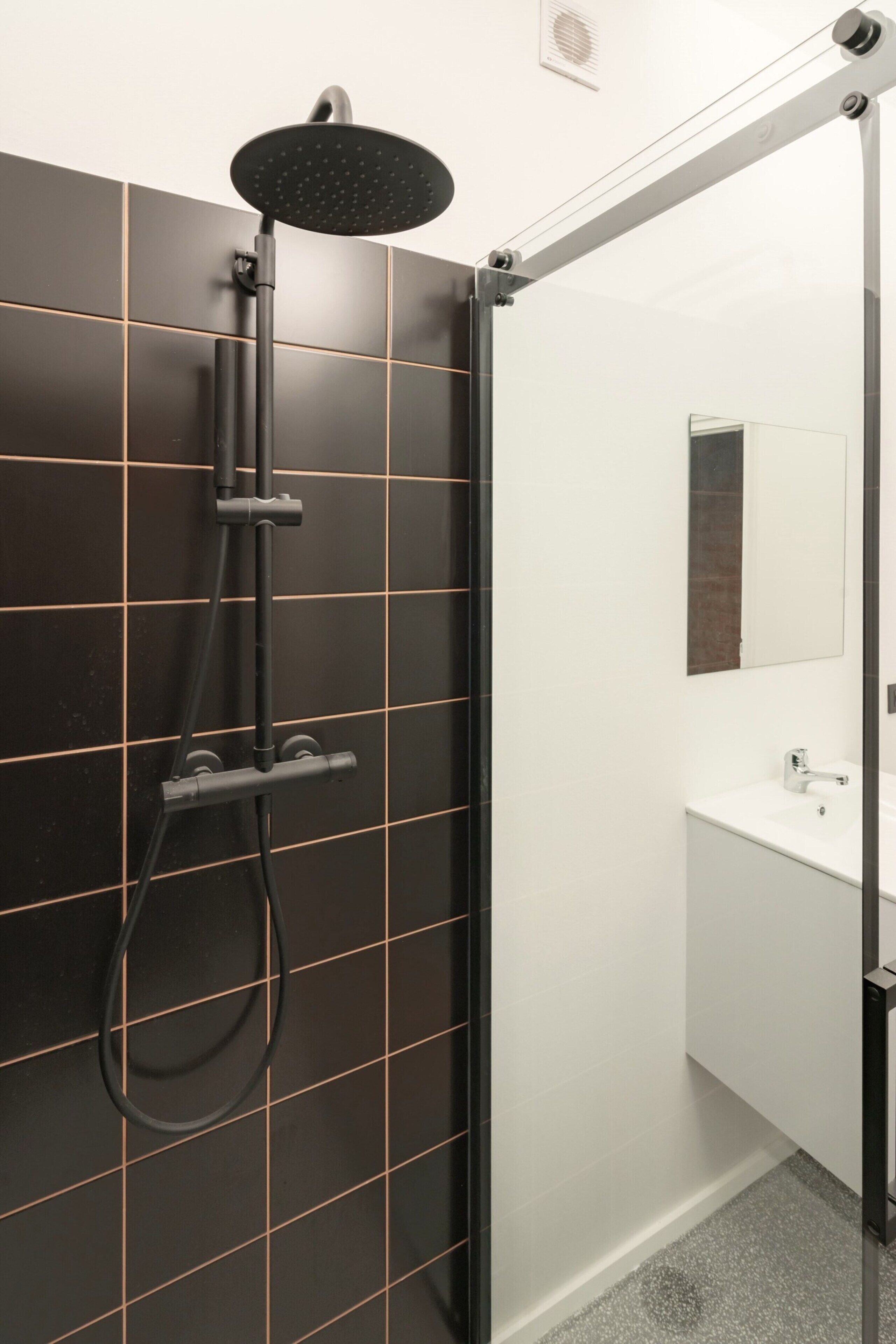 Romantisch appartement, 3 slaapkamers | Badkamer | Een douche, een haardroger, shampoo