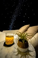 Deluxe Villa | Food and drink