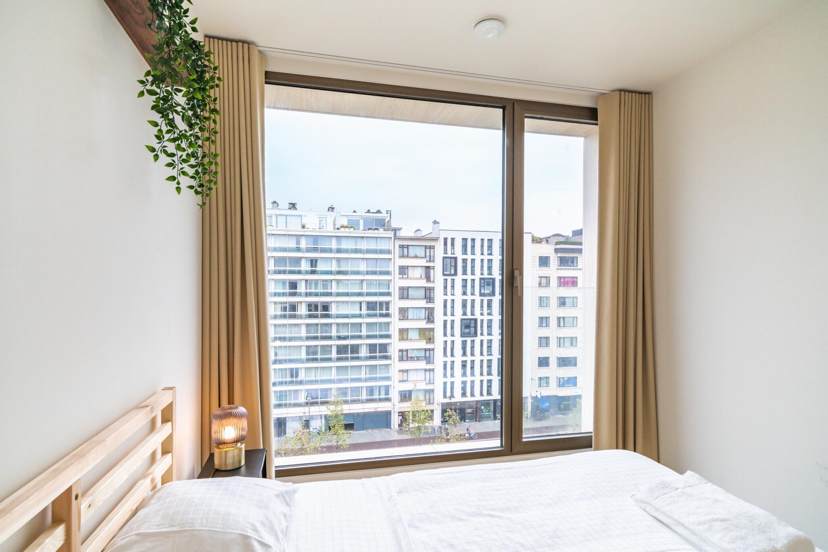 A hotel room with a large window, a bed, a bedside table with a lamp, and a hanging plant.