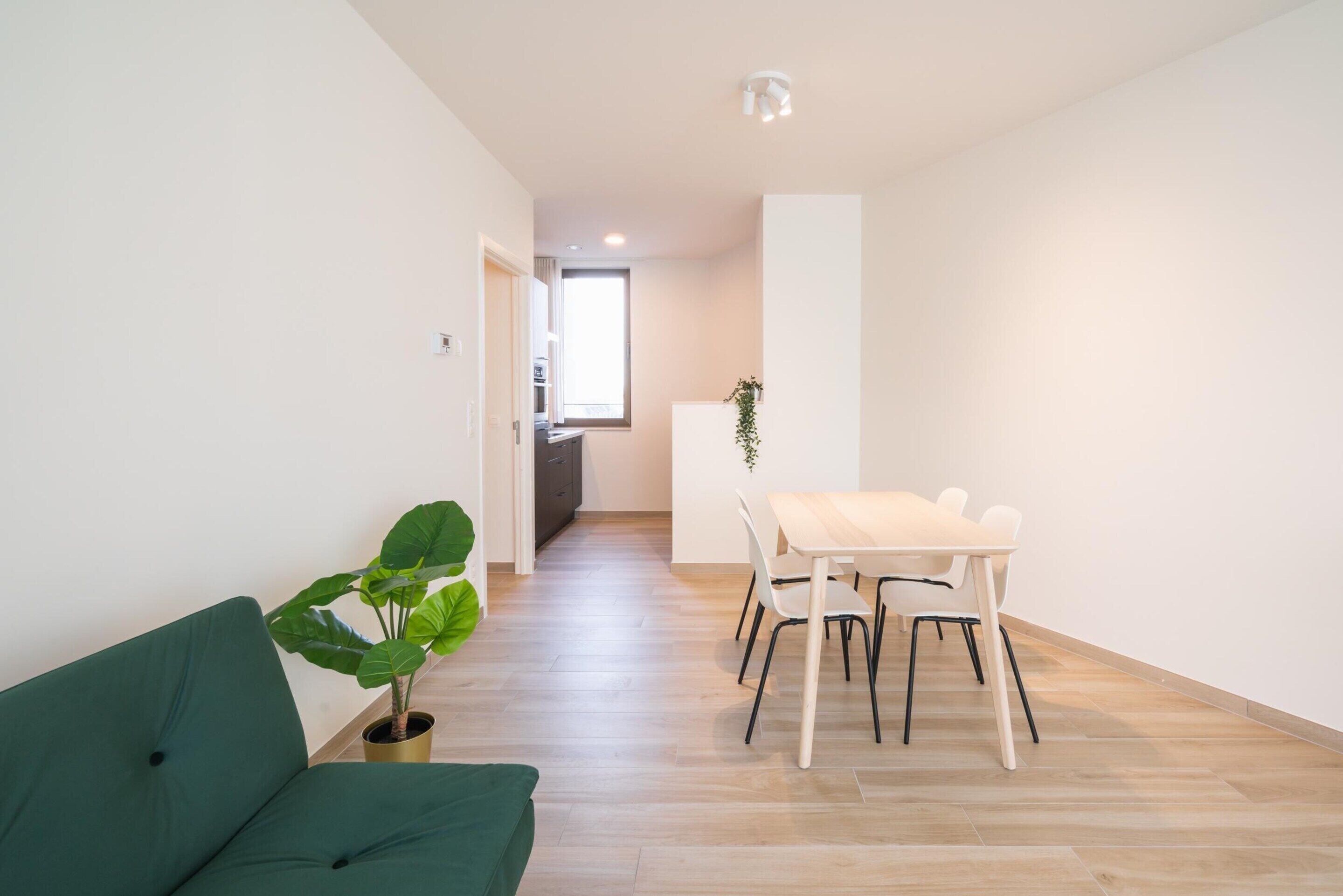 Uma sala de estar moderna com um sofá verde, uma mesa de jantar com cadeiras e um vaso de planta.