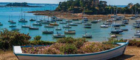 Puerto deportivo