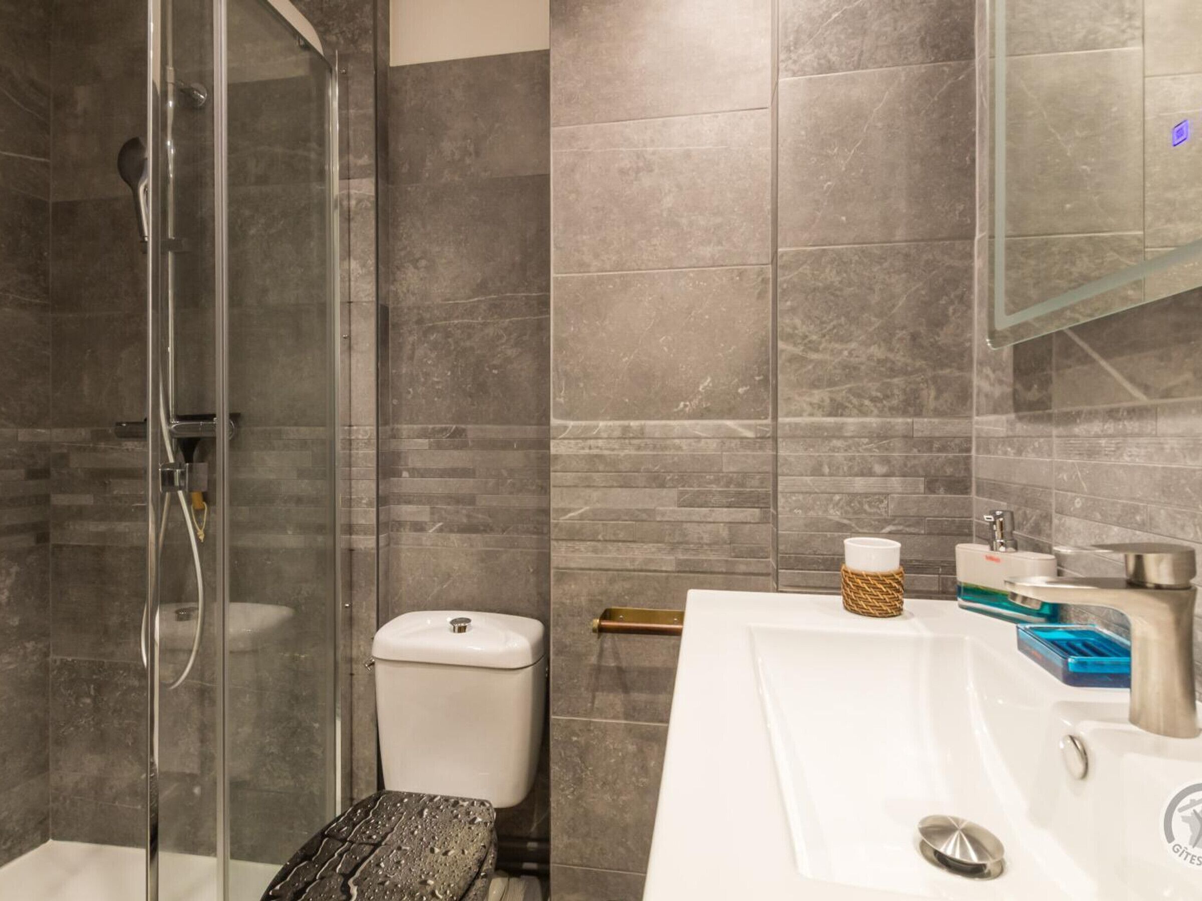 Une salle de bain moderne avec une douche à parois de verre, un lavabo blanc doté d’un robinet en acier inoxydable et des toilettes.