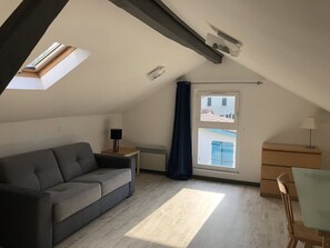 TV - Calm villa, pets welcome - 6 guests (Léon)