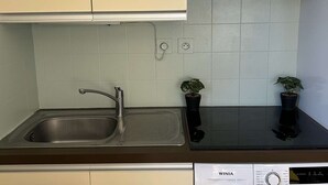 Une cuisine équipée d’un évier en acier inoxydable, d’un four encastré et d’un lave-vaisselle. On peut voir deux plantes en pot sur le plan de travail.