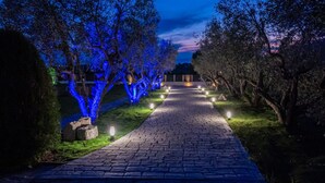 A paved pathway flanked by trees with blue lighting, leading to a building. - Stone Vista by RentalsPro - Nea Poidaia Halkidiki (Nea Poteidaia)