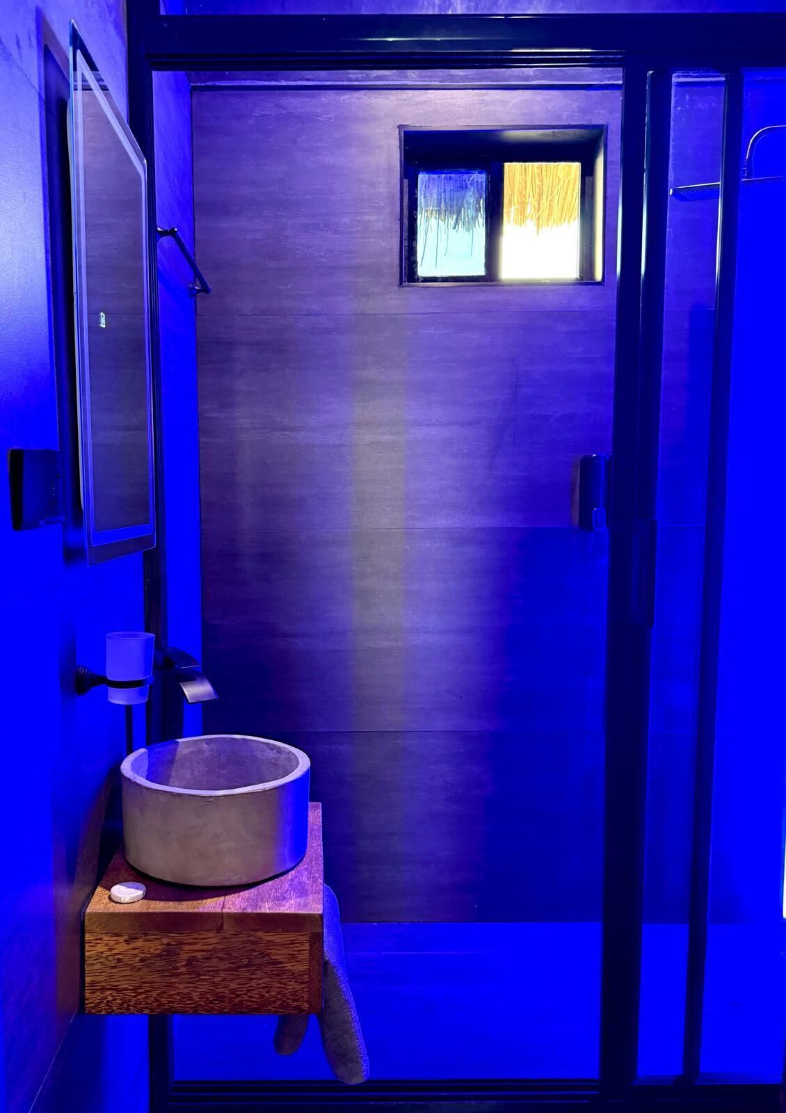 Deluxe Apartment, Pool View | Bathroom | Shower, free toiletries, soap, shampoo