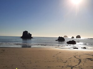 Beach - New! Peace Perch - Sweet Neighborhood, Deck, Yard, Pet Friendly (Arcata)