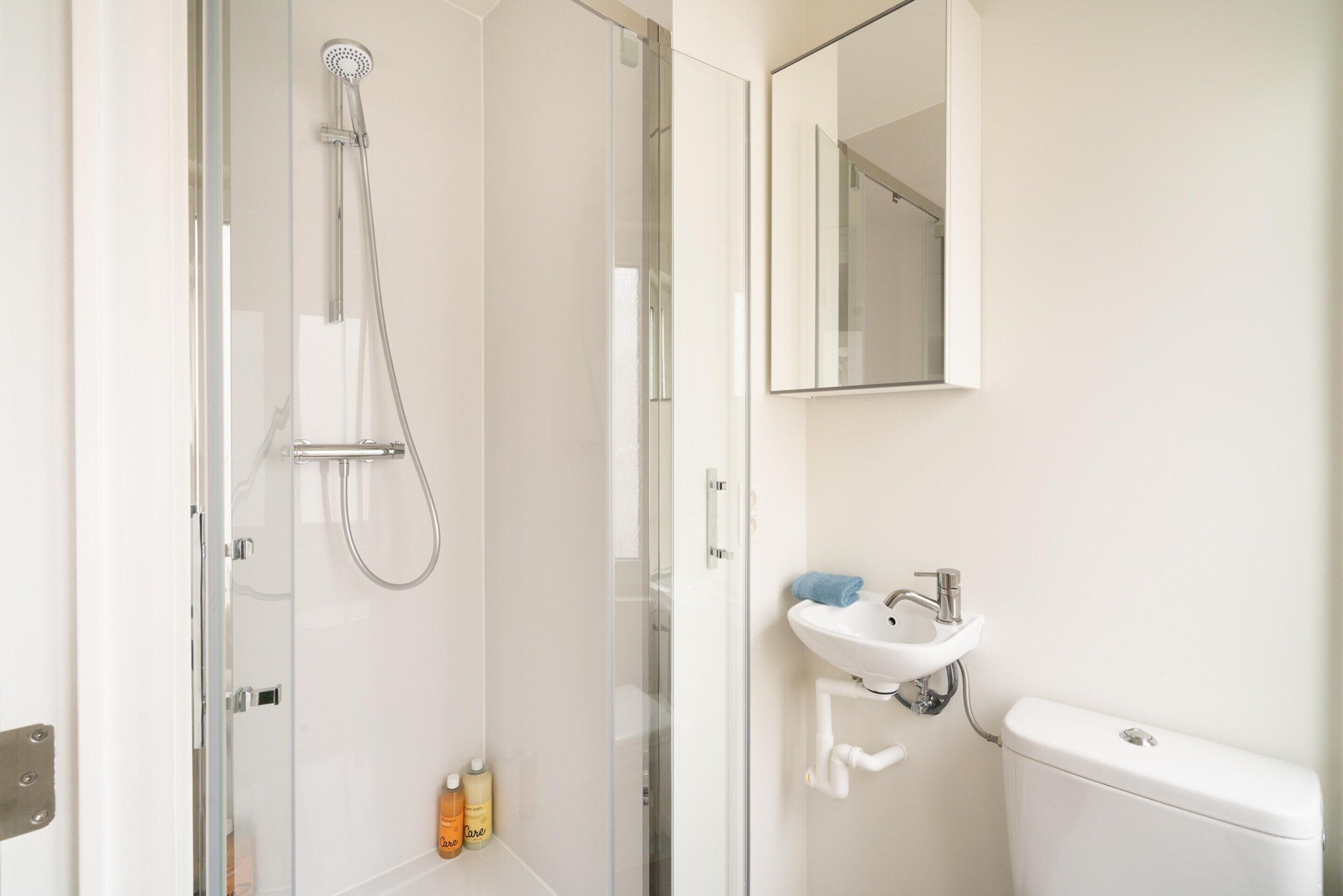 A modern bathroom with a glass-enclosed shower, a white sink, and a toilet.