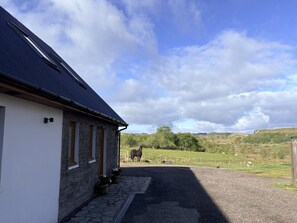 A rural setting with a stone building, a horse, and a fenced pasture.