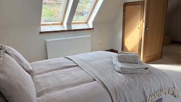 A bedroom with a bed, two skylights, a radiator, and a wooden door.