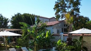 Una piscina cristalina con sillas de descanso y sombrillas, rodeada de exuberante vegetación y un edificio al fondo.