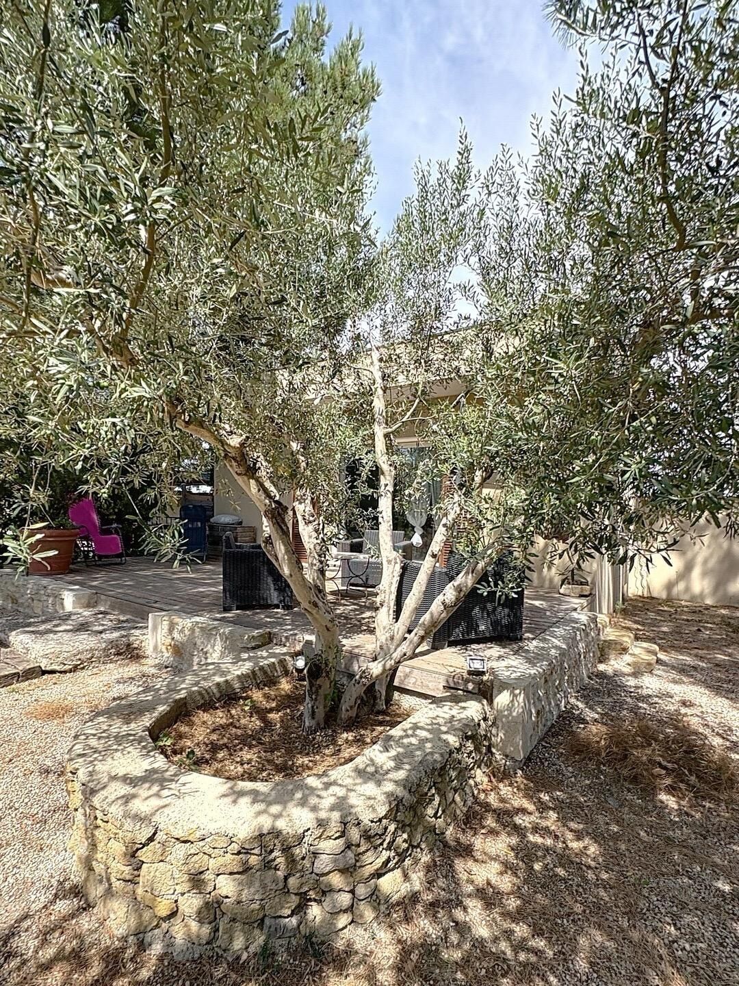 Un espace extérieur agrémenté d’oliviers, d’éléments en pierre et de mobilier de jardin.