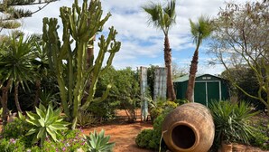 A garden with cacti, palm trees, and a large clay pot. - Can Romero - Whole house with private pool near Ibiza Town (Sant Josep de sa Talaia)