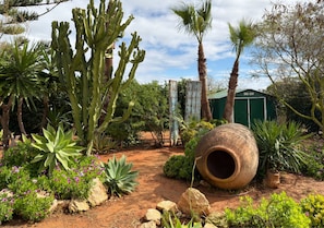 Ein Garten mit Kakteen, Palmen und einem großen Terrakottatopf.