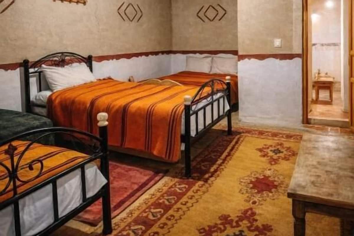 A bedroom with two beds, a wooden ceiling, and a patterned rug.