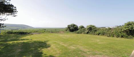 A grassy field with trees and a clear sky.