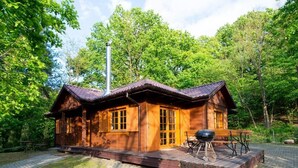 Une cabane en bois avec une cheminée, un barbecue et une table de pique-nique.