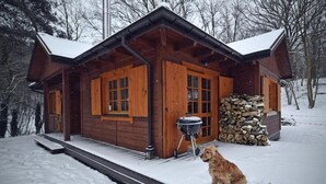Une cabane en bois avec un porche, un barbecue et un chien.