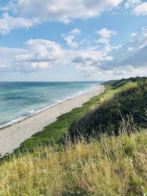 Beach - Nature gem with charm near Heatherhill (Rågeleje)