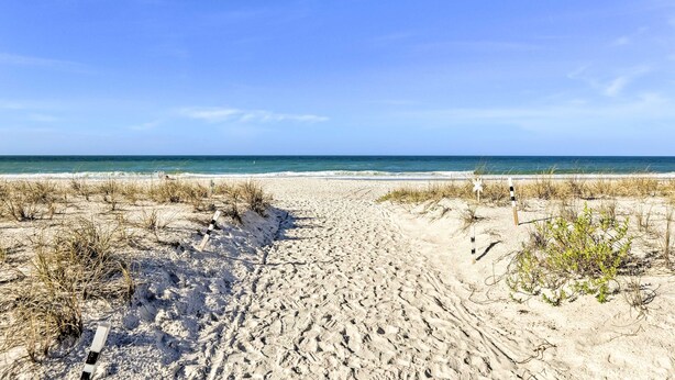 Un sentier de sable qui longe la plage et mène à l’océan, avec une végétation clairsemée et un ciel dégagé.