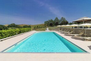 Pool - Newly renovated apartment in Chianti with pool (Montaione)