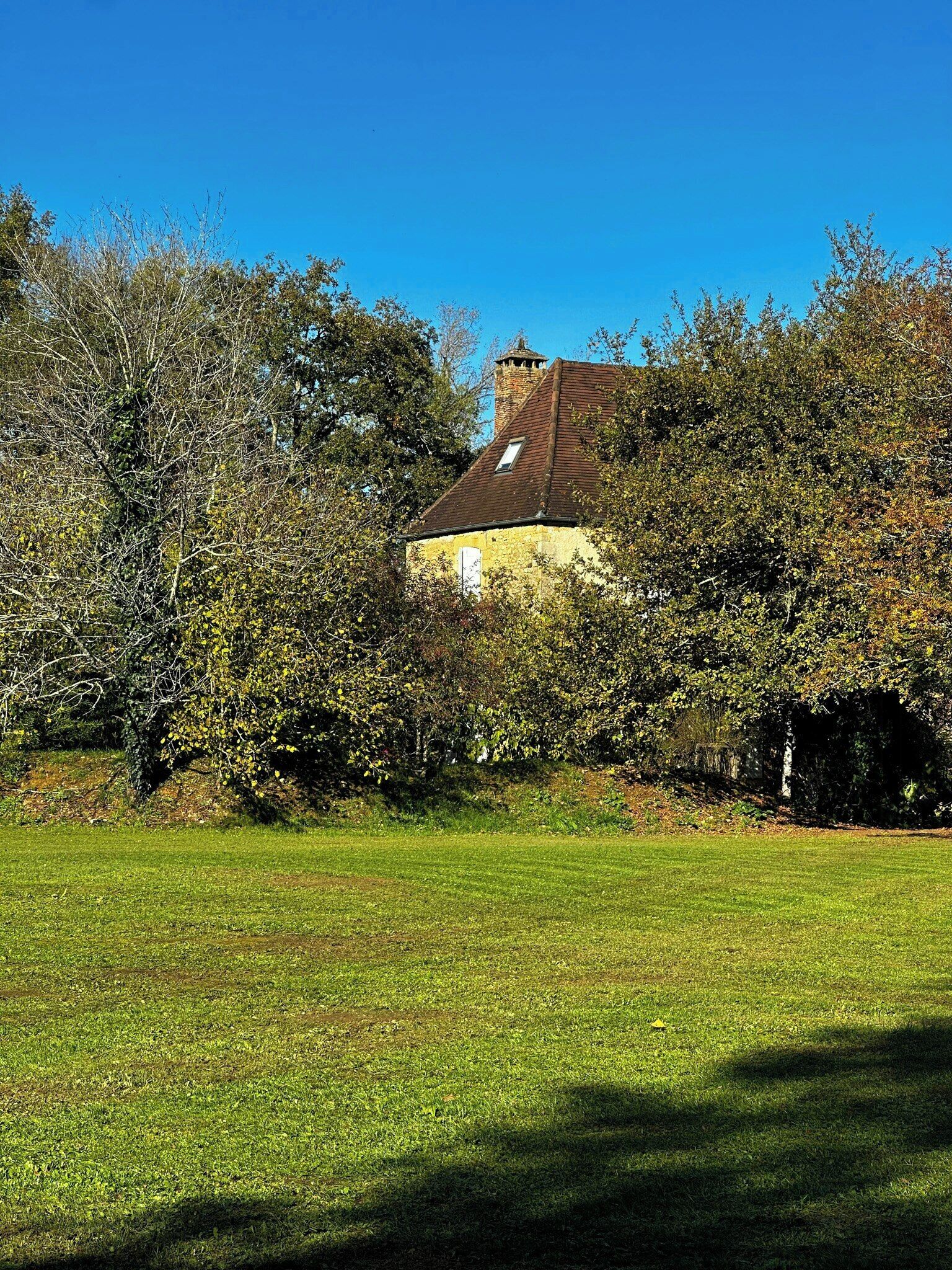 Une maison avec un toit en pente, entourée d’arbres et bordée d’une pelouse.